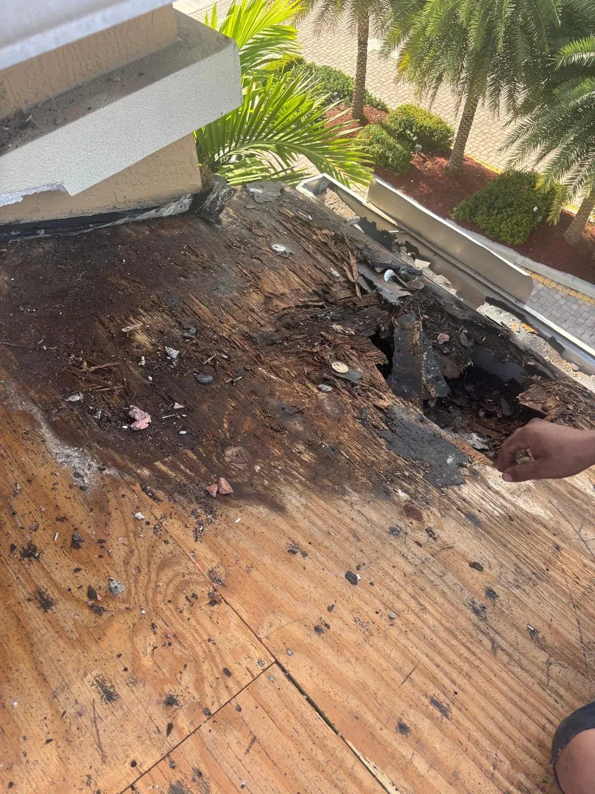 Primer plano de madera del techo podrida con un hueco, causado por filtración de agua